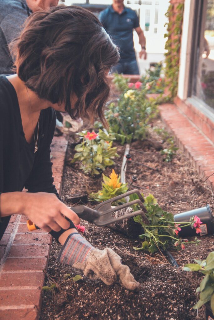 Planting flowers